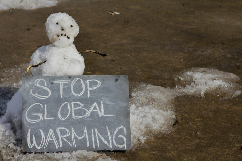 Snowman Stop Global Warming