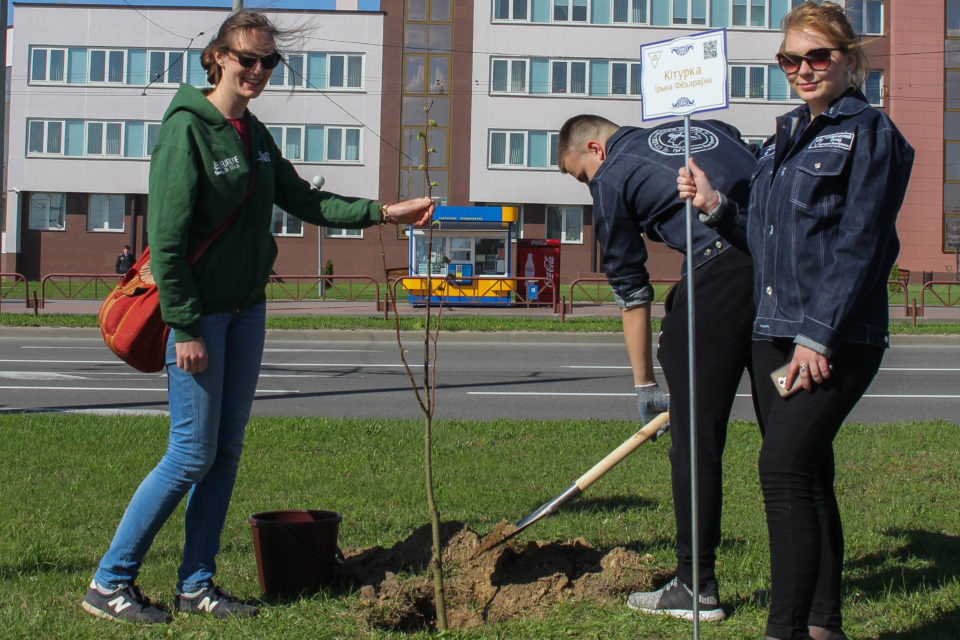tree planting in Grodno